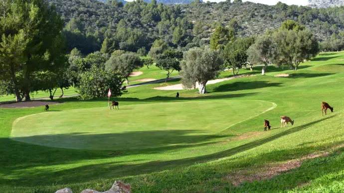 Spain golf holidays - Son Termes Golf Course