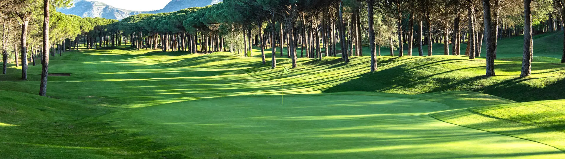 Spain golf courses - Empordá Golf Forest Course - Photo 2