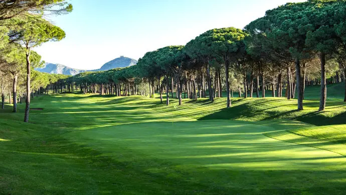 Spain golf courses - Empordá Golf Forest Course - Photo 5