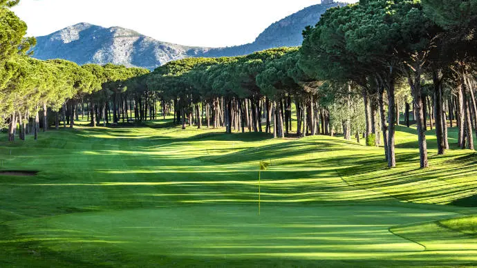 Spain golf courses - Empordá Golf Forest Course - Photo 6