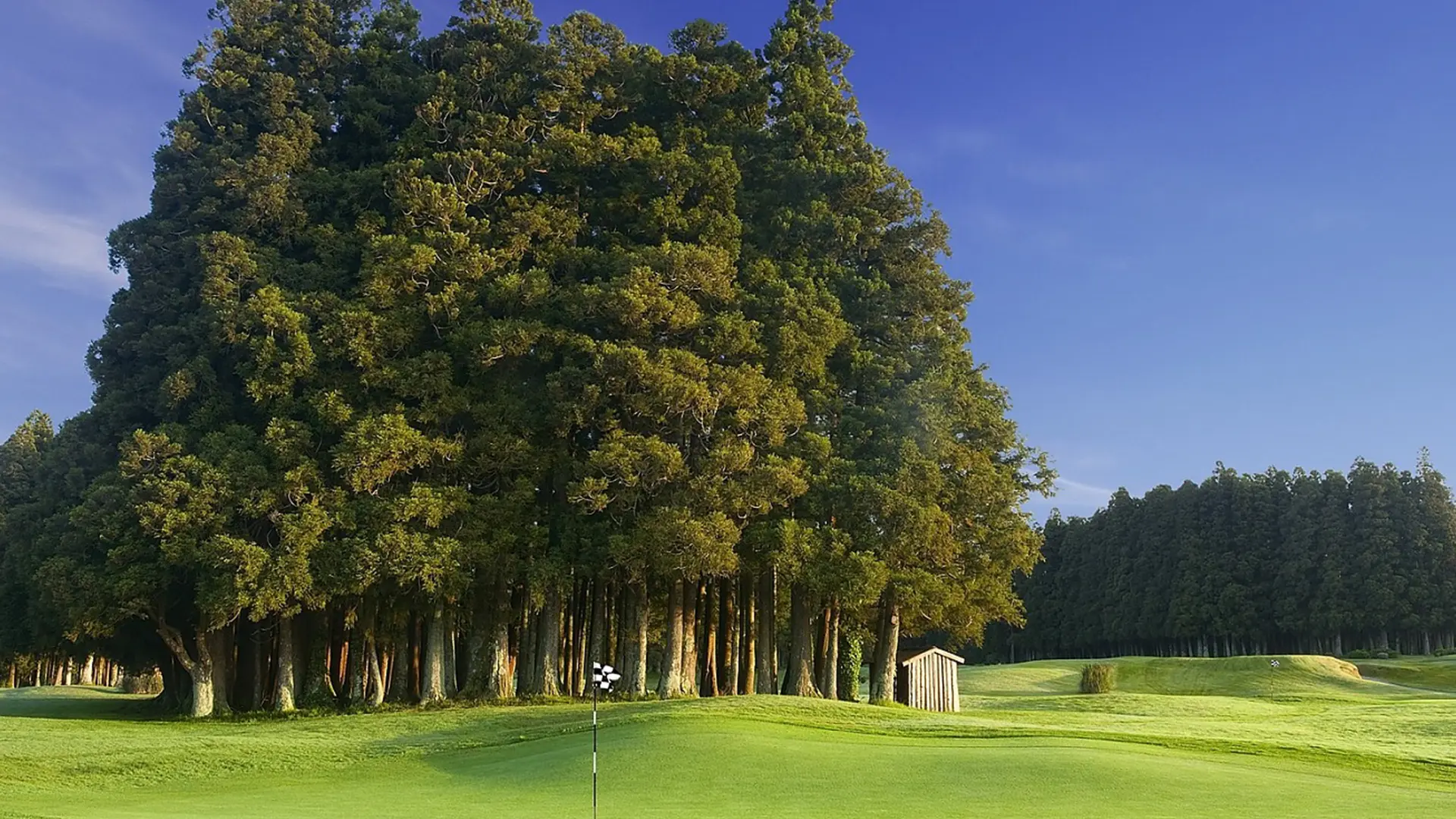 Portugal golf holidays - Furnas Golf - Azores - Photo 3